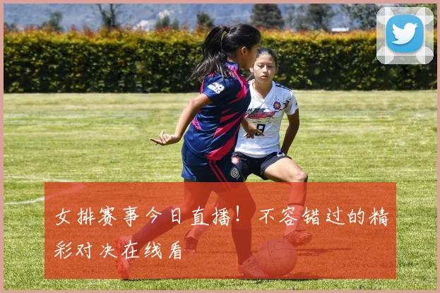 女排赛事今日直播!不容错过的精彩对决在线看